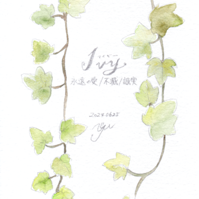 植物×水彩コレクション（１）